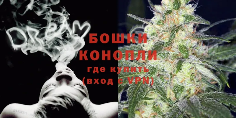 маркетплейс формула  как найти закладки  Бокситогорск  Шишки марихуана OG Kush 